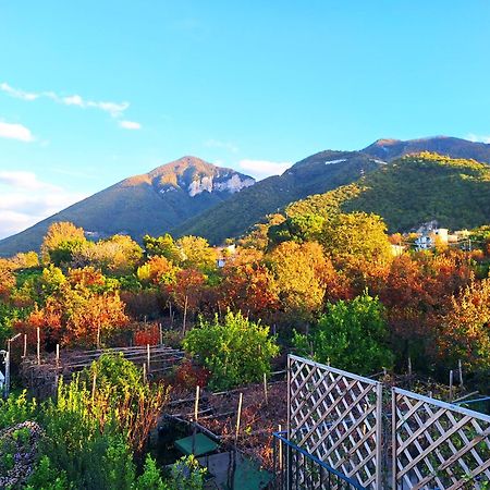 Casa Fifina Rooms Sant'Egidio del Monte Albino Экстерьер фото